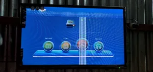 Walton Basic 32" TV Panel Problem Only