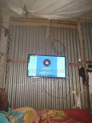 Walton Basic 32" TV Panel Problem Only