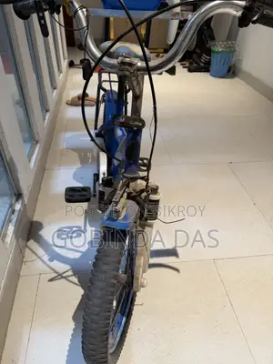 বাচ্চাদের বাইসাইকেল