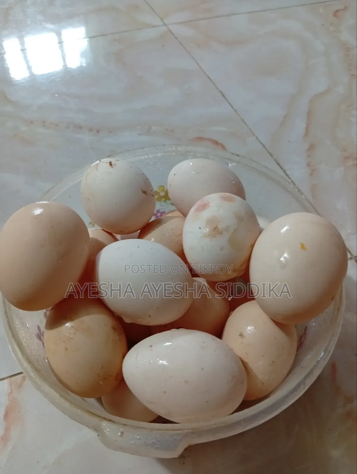 Chinese Duck Fertile Eggs Sale
