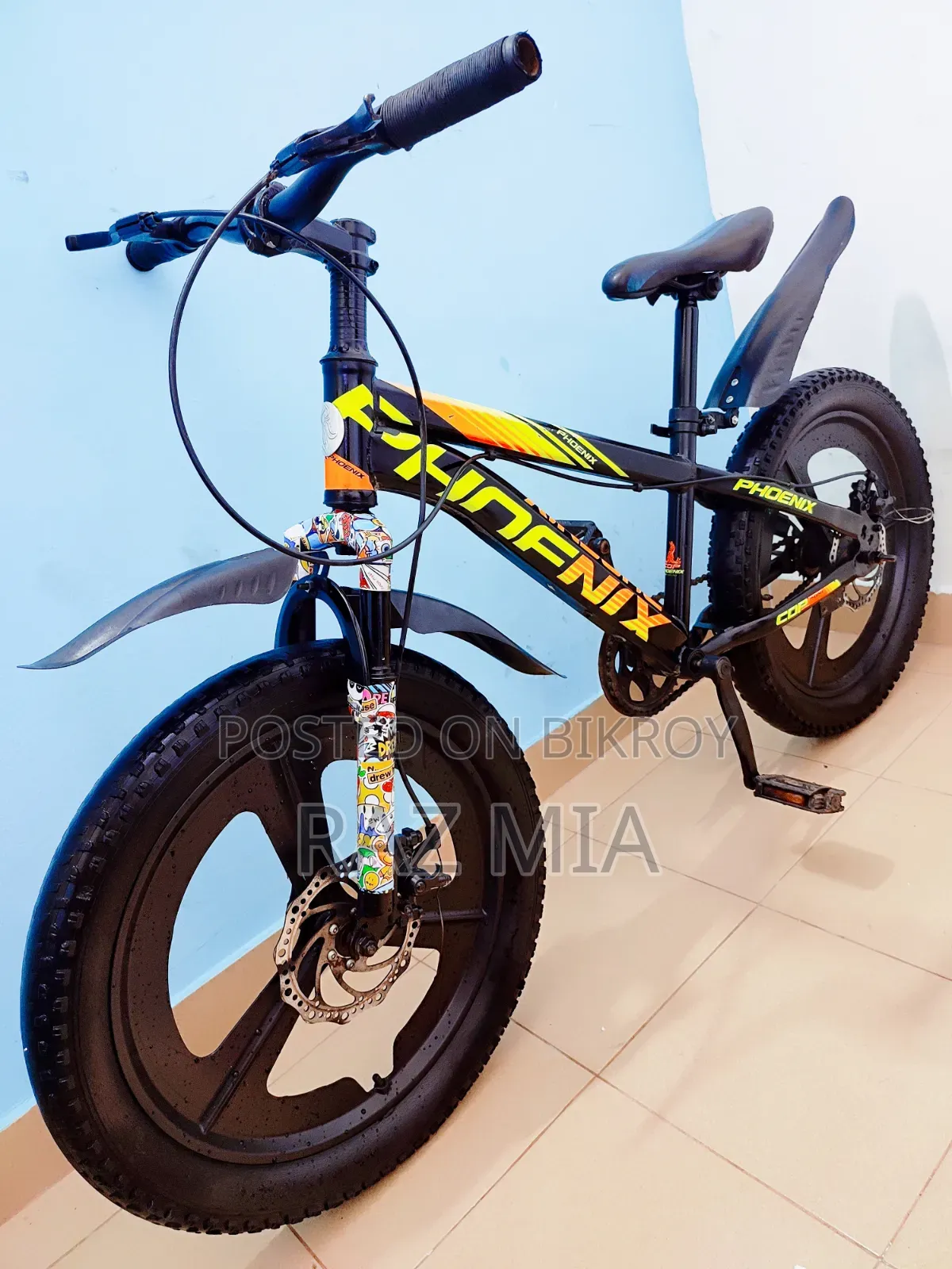 ২০ ইঞ্চি ফিনিক্স সাইকেল