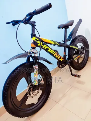 ২০ ইঞ্চি ফিনিক্স সাইকেল