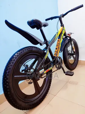 ২০ ইঞ্চি ফিনিক্স সাইকেল