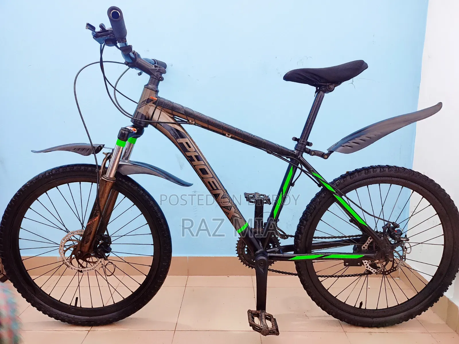 ২৪ ইঞ্চি ফিনিক্স গিয়ার সাইকেল