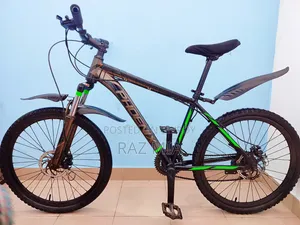 ২৪ ইঞ্চি ফিনিক্স গিয়ার সাইকেল