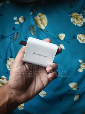 Vivo 80 Watt Charger