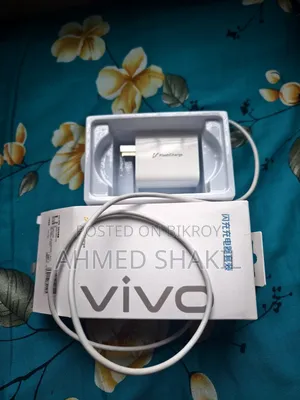 Vivo 80 Watt Charger