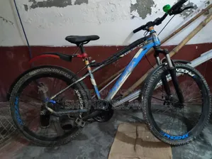 সাইকেল ফোনিক্স