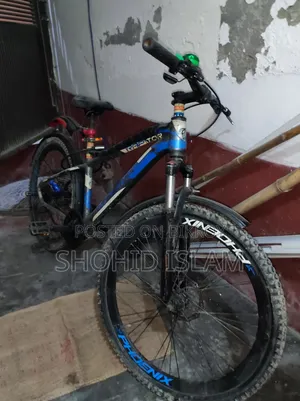 সাইকেল ফোনিক্স