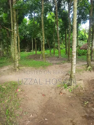 20bdrm House in Dhobaura for Sale