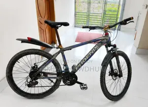 ফেনিক্স বাইসাইকেল আর্জেন্ট সেল
