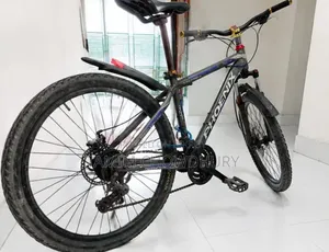 ফেনিক্স বাইসাইকেল আর্জেন্ট সেল