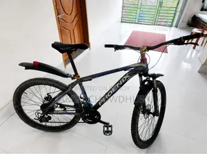 ফেনিক্স বাইসাইকেল আর্জেন্ট সেল
