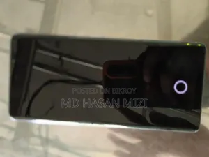 শাওমি ১৪ প্রো ২৫৬ জিবি সিলভার