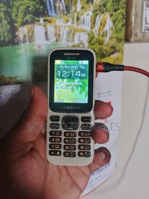 Samsung Guru Music 2 White