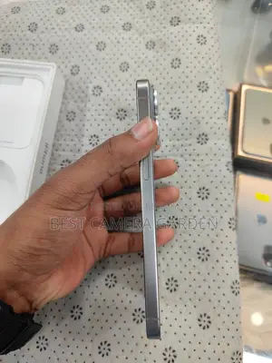 Apple iPhone 15 Pro Max 1 TB Silver