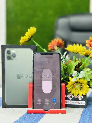 অ্যাপল আইফোন ১১ প্রো ম্যাক্স ২৫৬ জিবি সবুজ