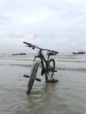স্টান্ট সাইকেল