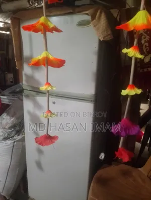 Toshiba Fridge