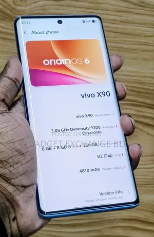 Vivo X90 256 GB