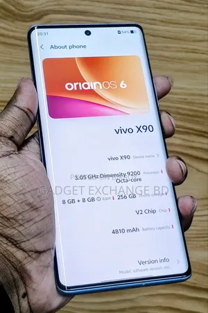 Vivo X90 256 GB