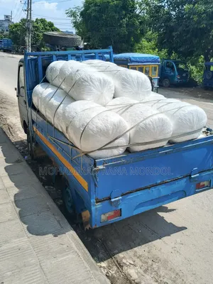 Tata Ace Ex2