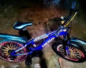 Hero 20 Size 7/3 Gear Baby Cycle