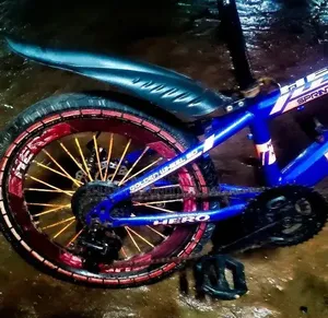 Hero 20 Size 7/3 Gear Baby Cycle