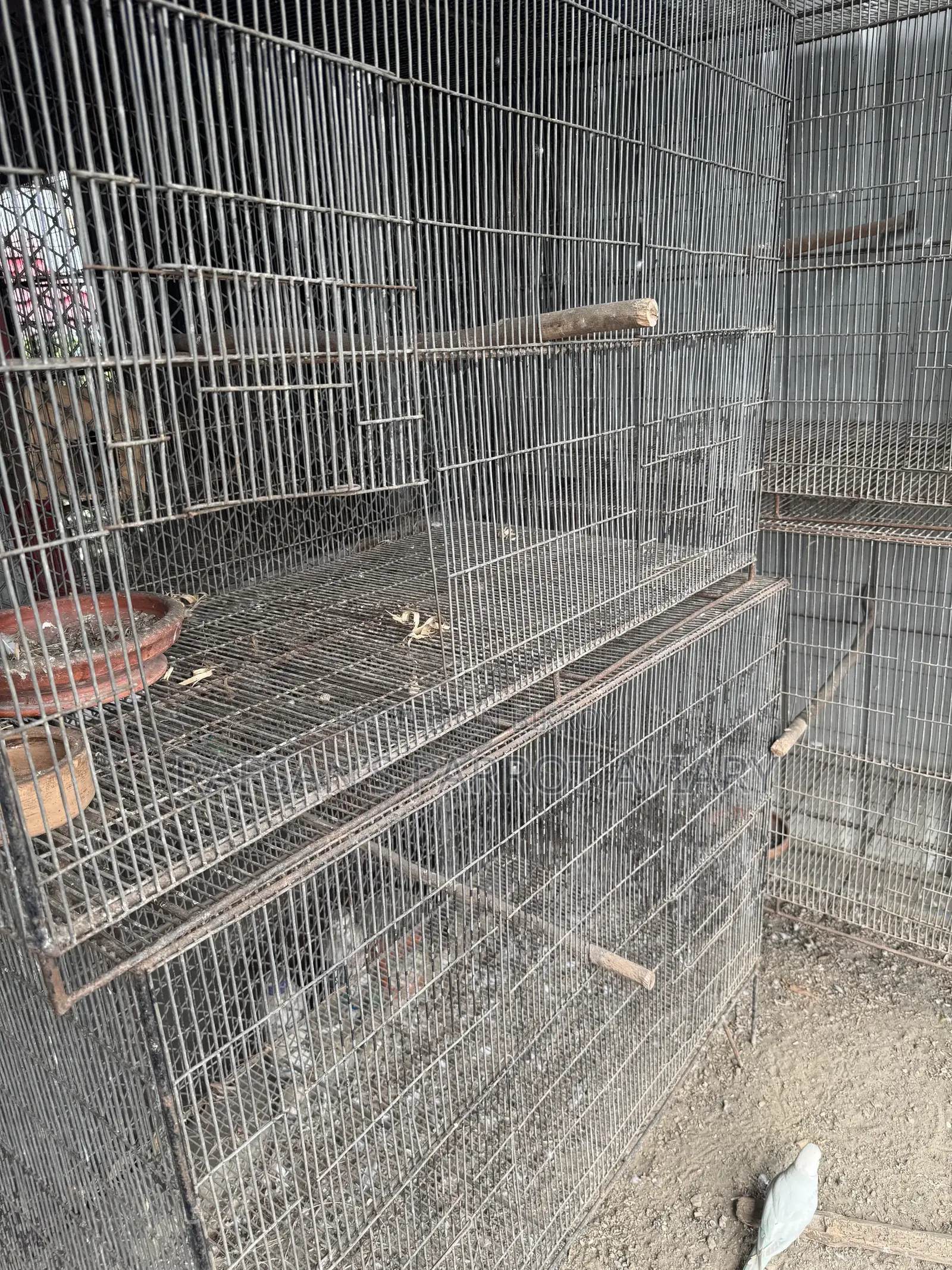 Bird Cage Large Cage (8 available): Size: 4 feet × 3 feet