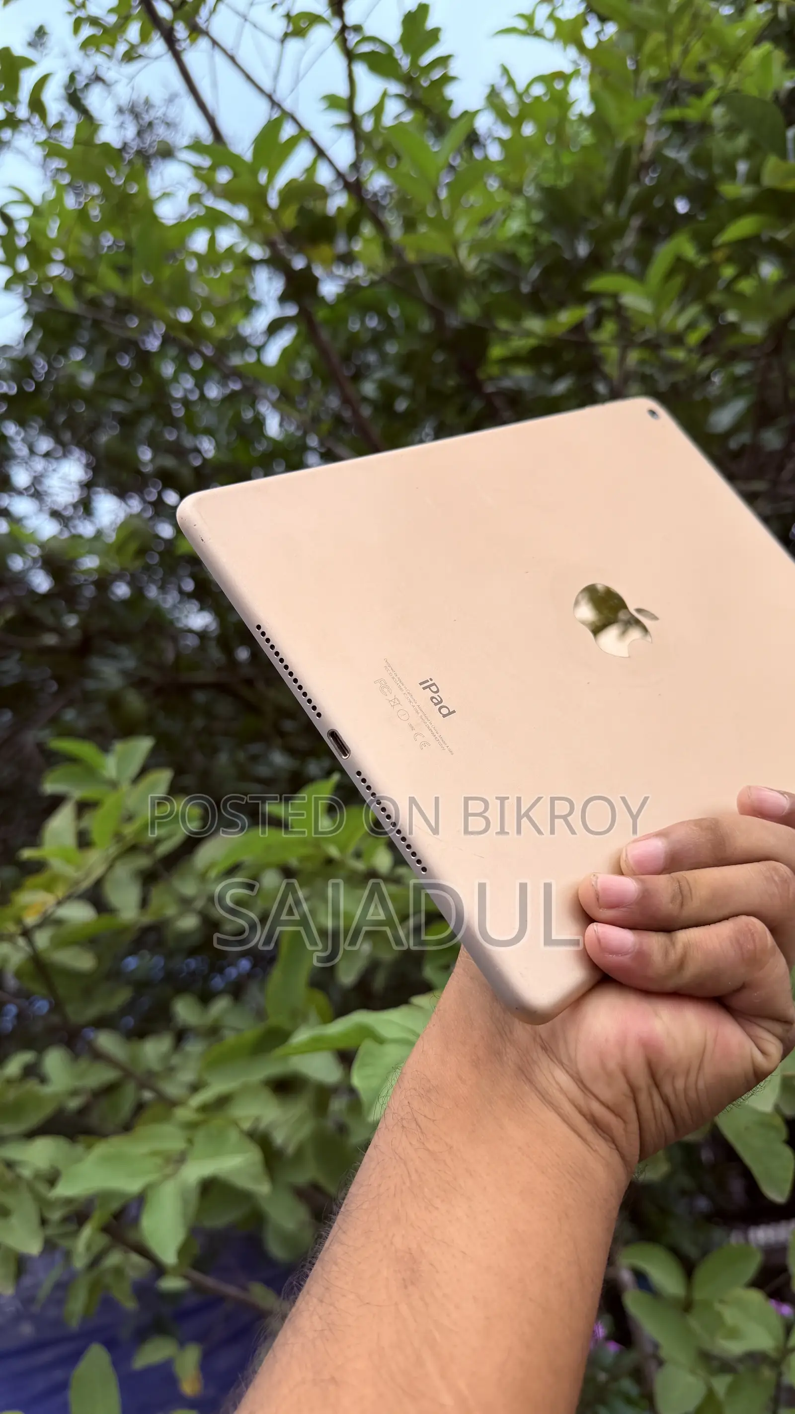 Apple iPad Air 2 16 GB