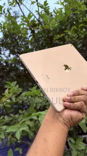 Apple iPad Air 2 16 GB
