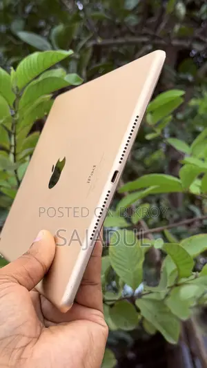 Apple iPad Air 2 16 GB