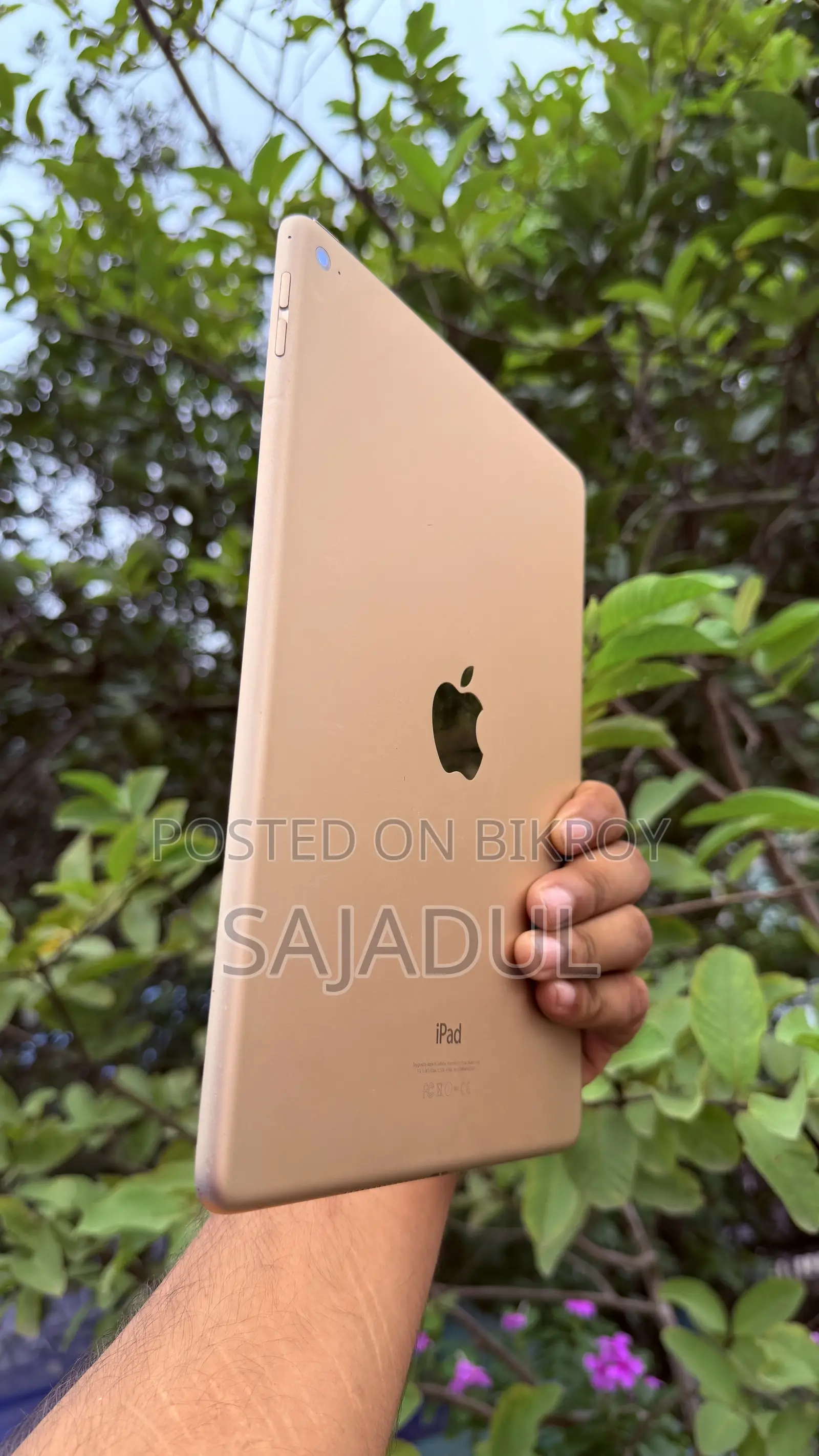 Apple iPad Air 2 16 GB
