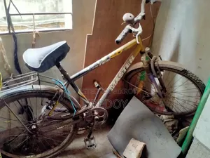 বাই সাইকেল