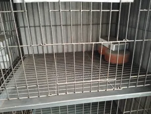 Metal Bird Cage