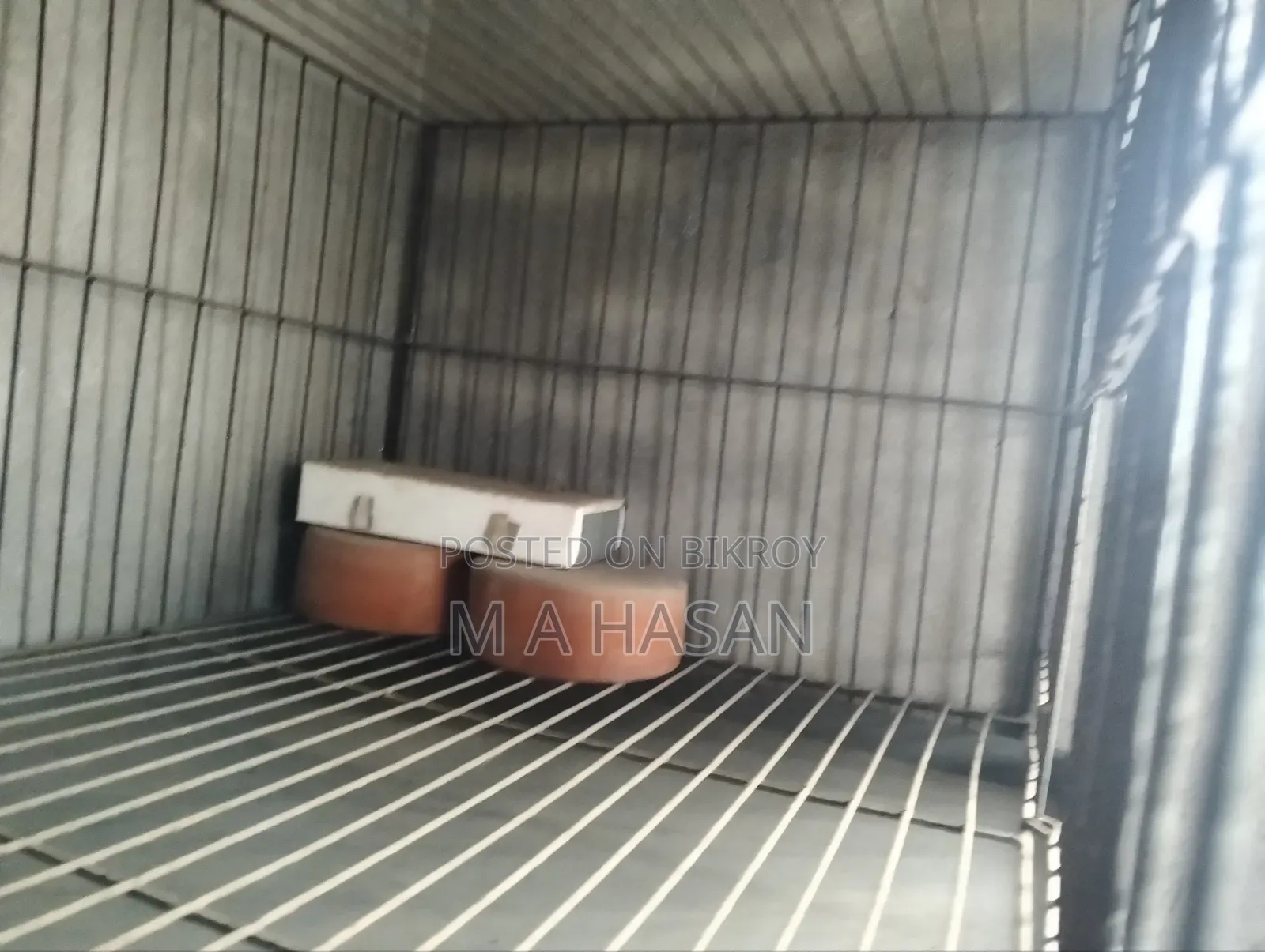 Metal Bird Cage