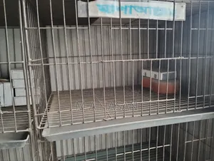 Metal Bird Cage