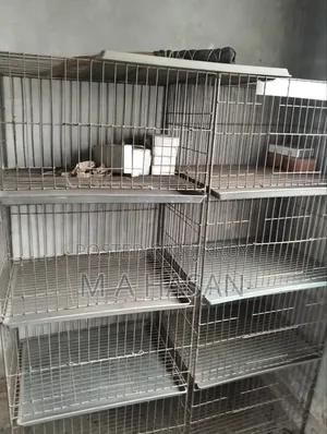 Metal Bird Cage