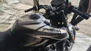 বাজাজ পালসার এন১৬০ ২০২৬ গ্রে
