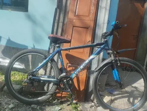 Veloce by Cicle