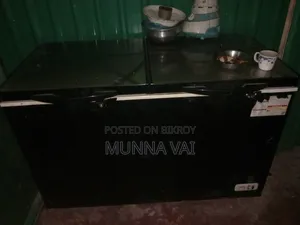 Jamuna Deep Fridge 300 ML