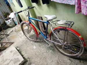 Bicycle has no problems, just buy and ride