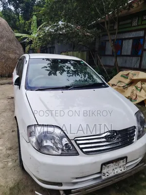 Toyota Corolla 2003 White
