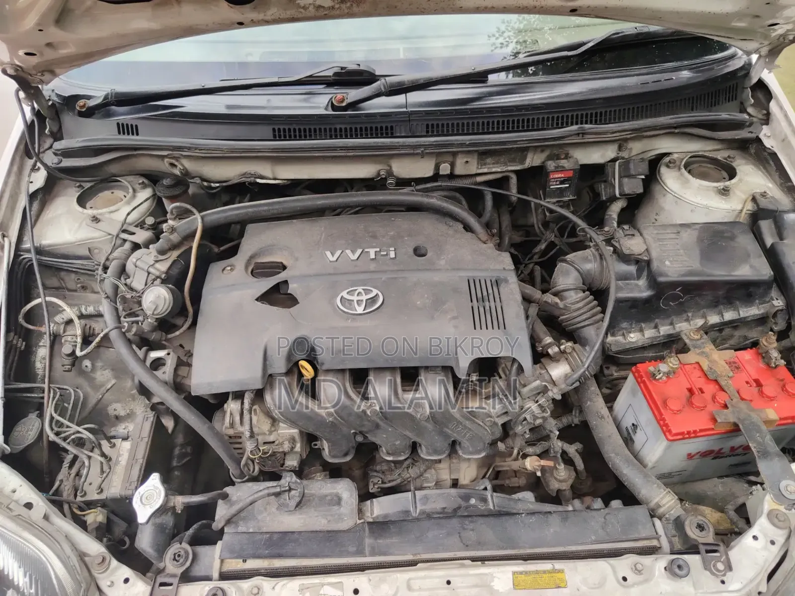 Toyota Corolla 2003 White
