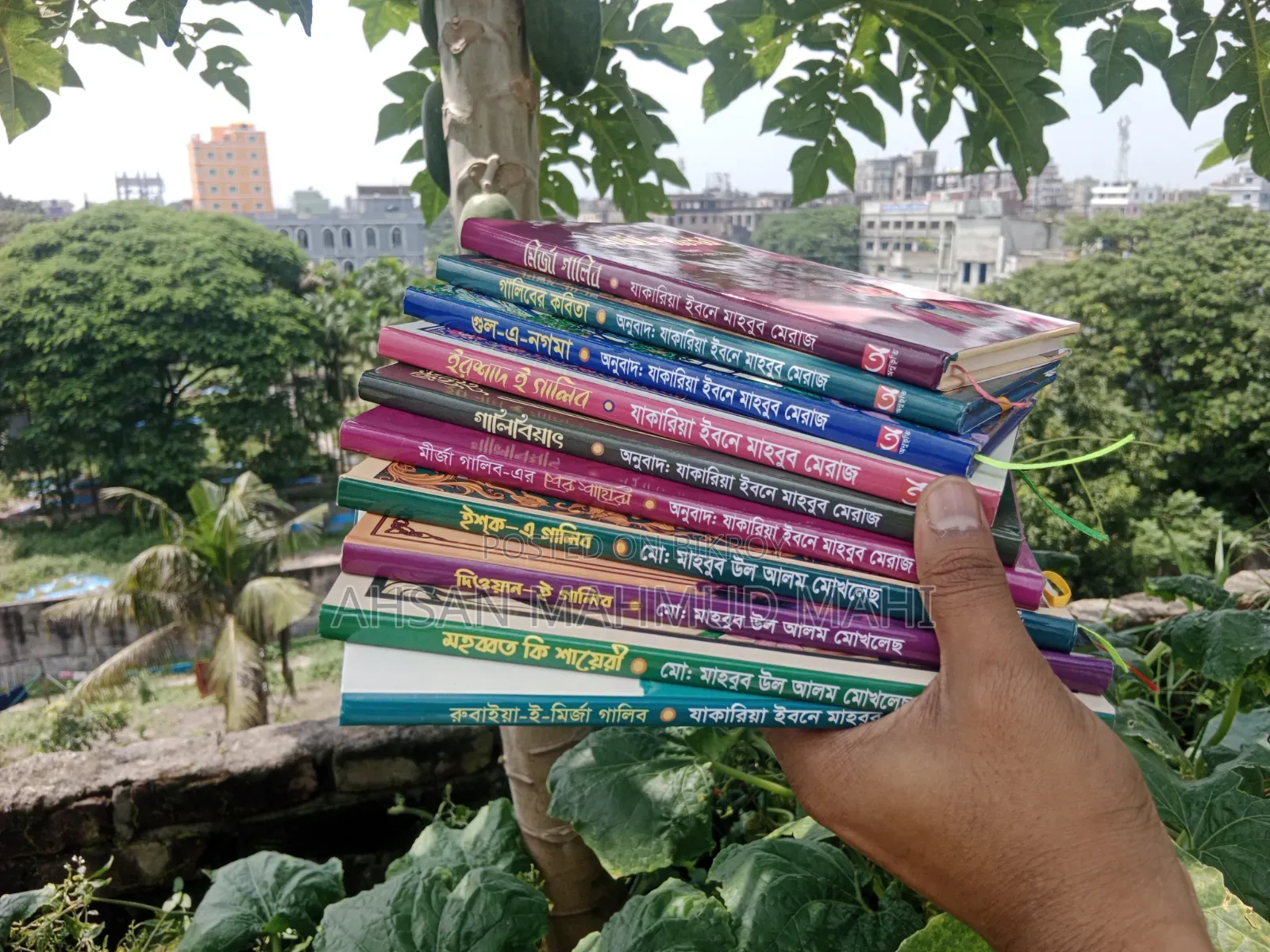 মির্জা গালিবের ১০টি বই