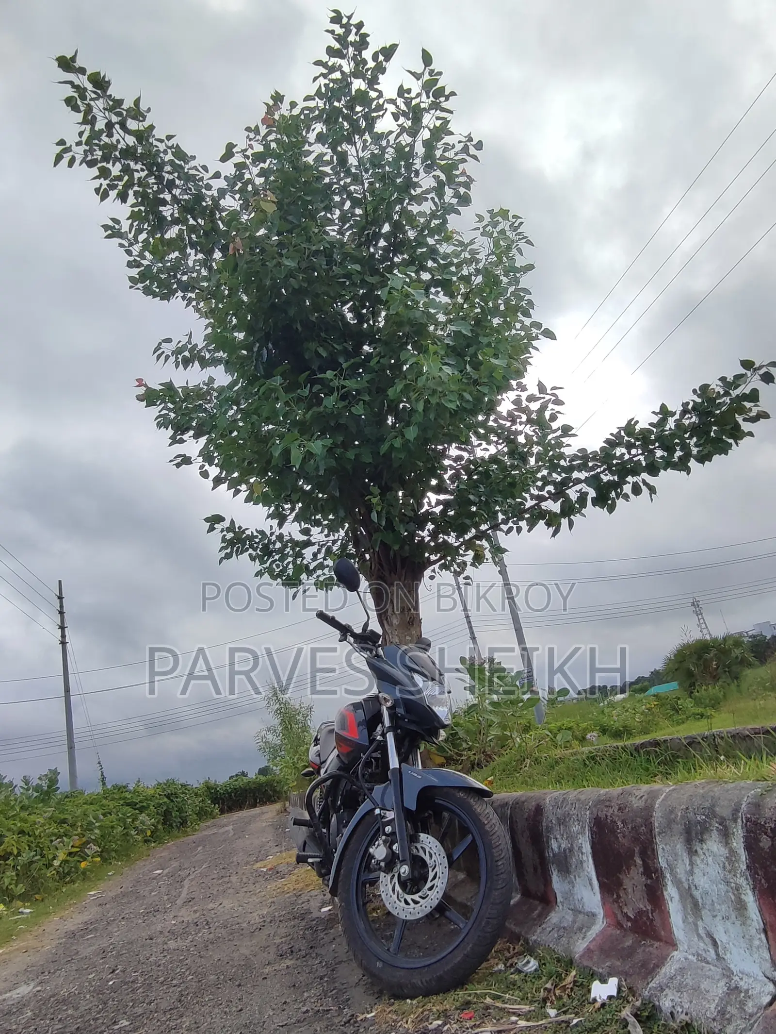 New Yamaha Saluto 125 2026 Gray