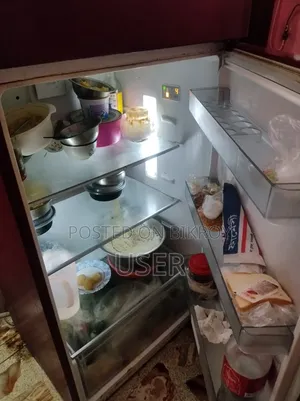 ৪৭০ লিটার সিঙ্গার ফ্রিজ