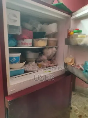 ৪৭০ লিটার সিঙ্গার ফ্রিজ