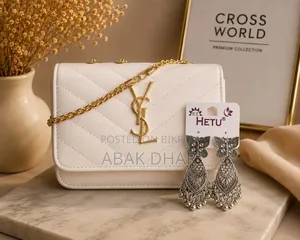 Women's YSL Bag