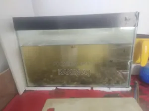 ব্যবহৃত অ্যাকোয়ারিয়াম বিক্রয়ের জন্য... মাছ, খাবার, ফিল্টার, হিটারসহ